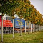 Herbstallee am Kieler Hafen