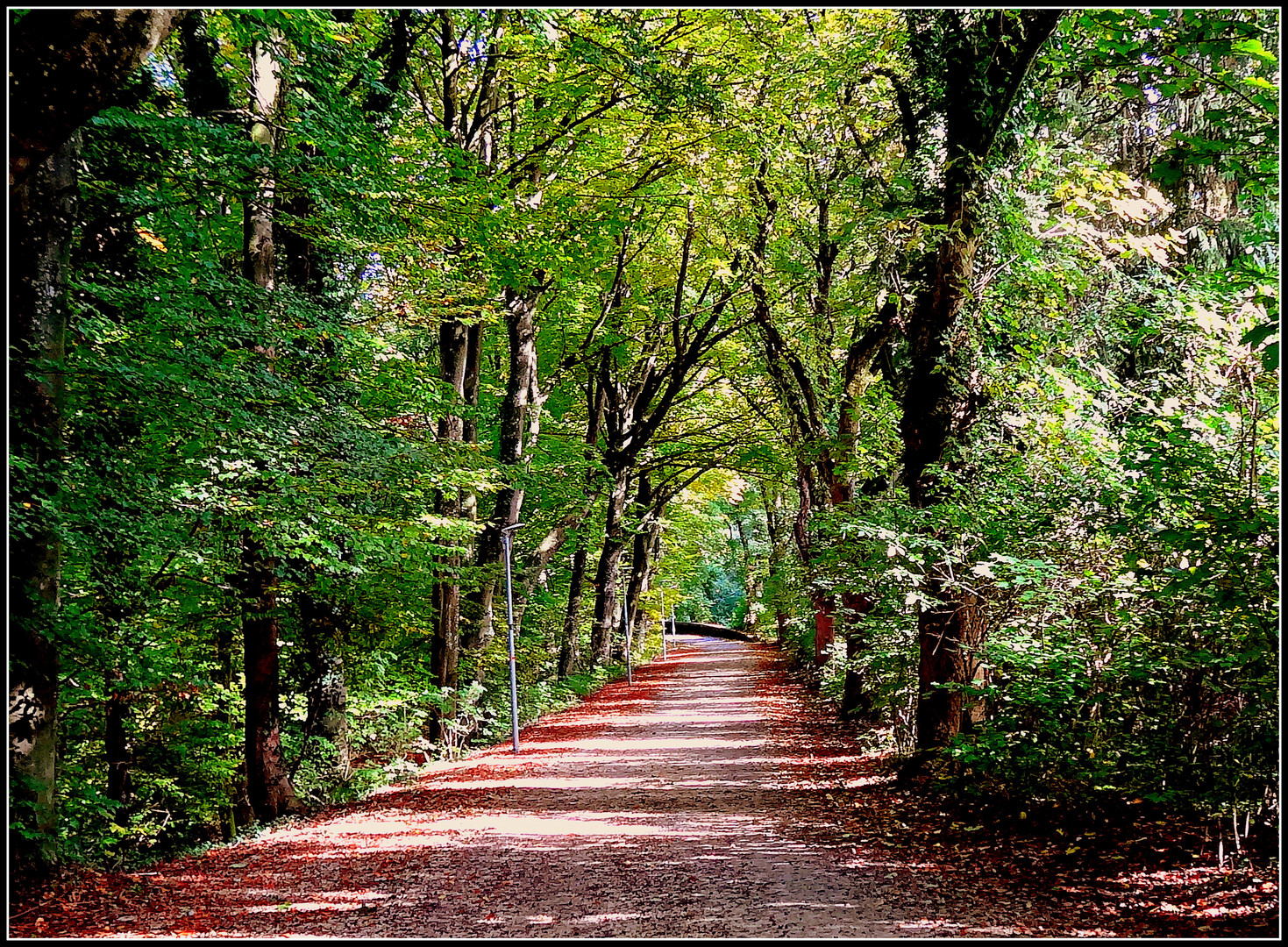 herbstallee am laupheimer schlosspark