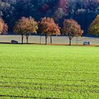 Herbstallee bei Schöngeising