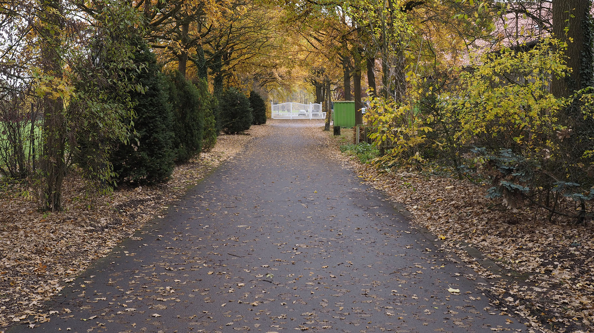 Herbstallee mit Gatter