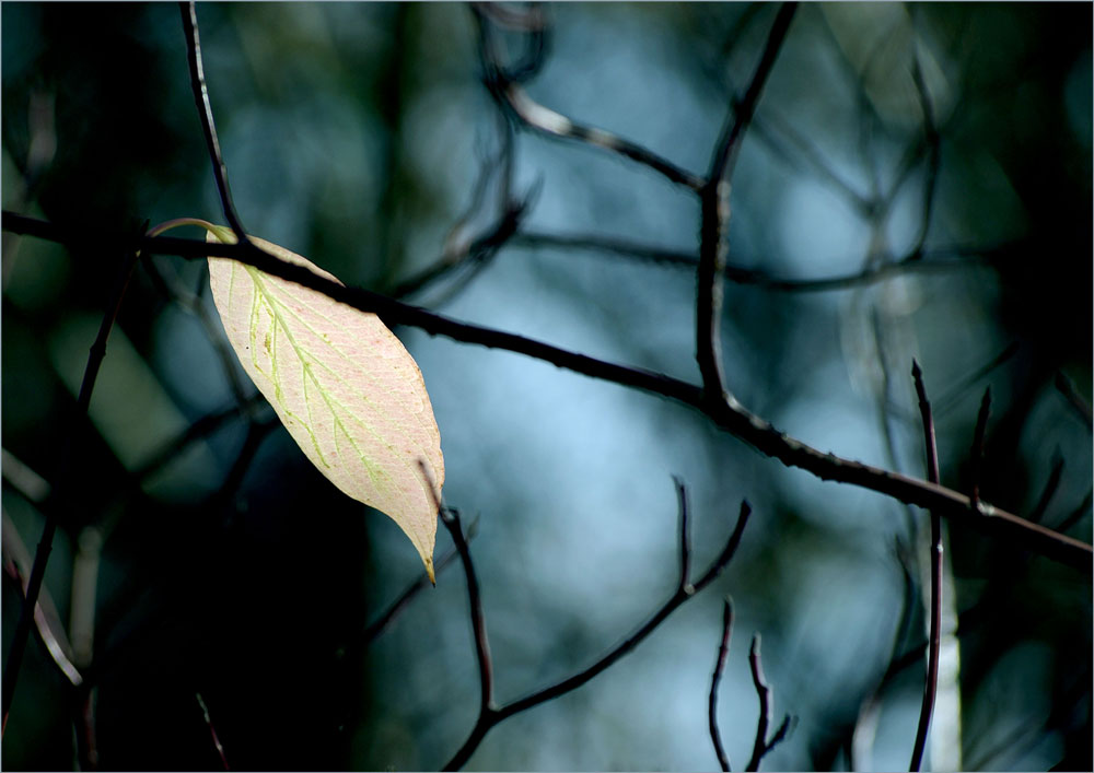 Herbstallerlei 11