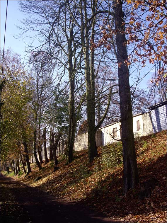Herbst.am.Freibad.2009