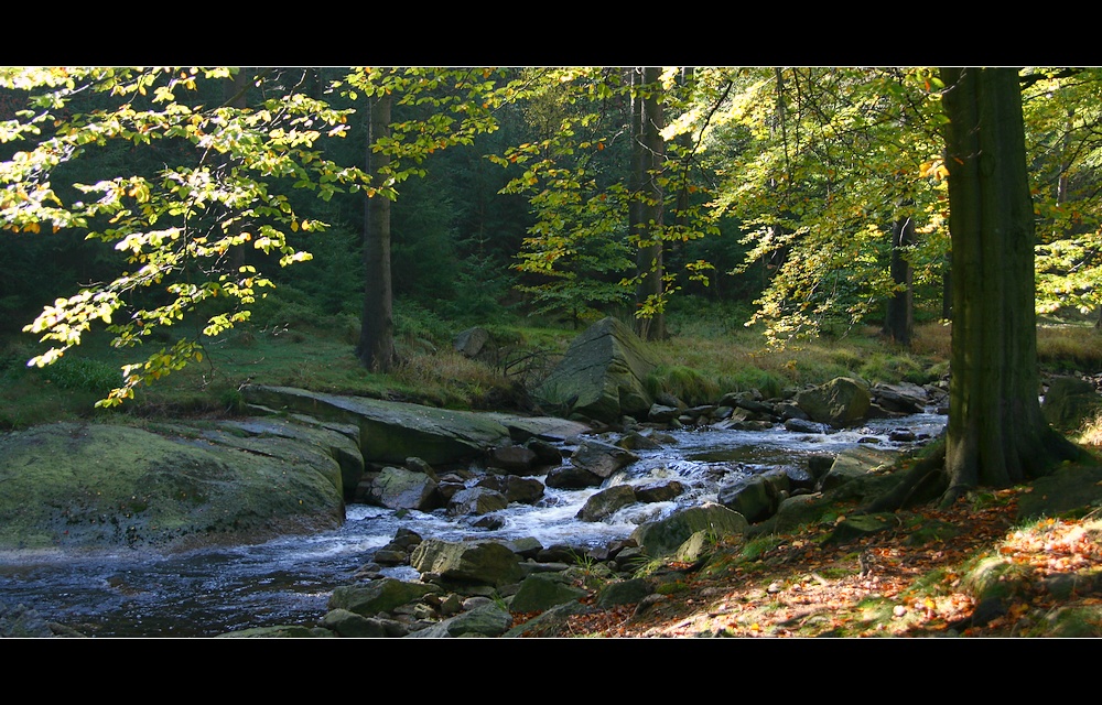 Herbst_an_der_schwarzen_Pokau