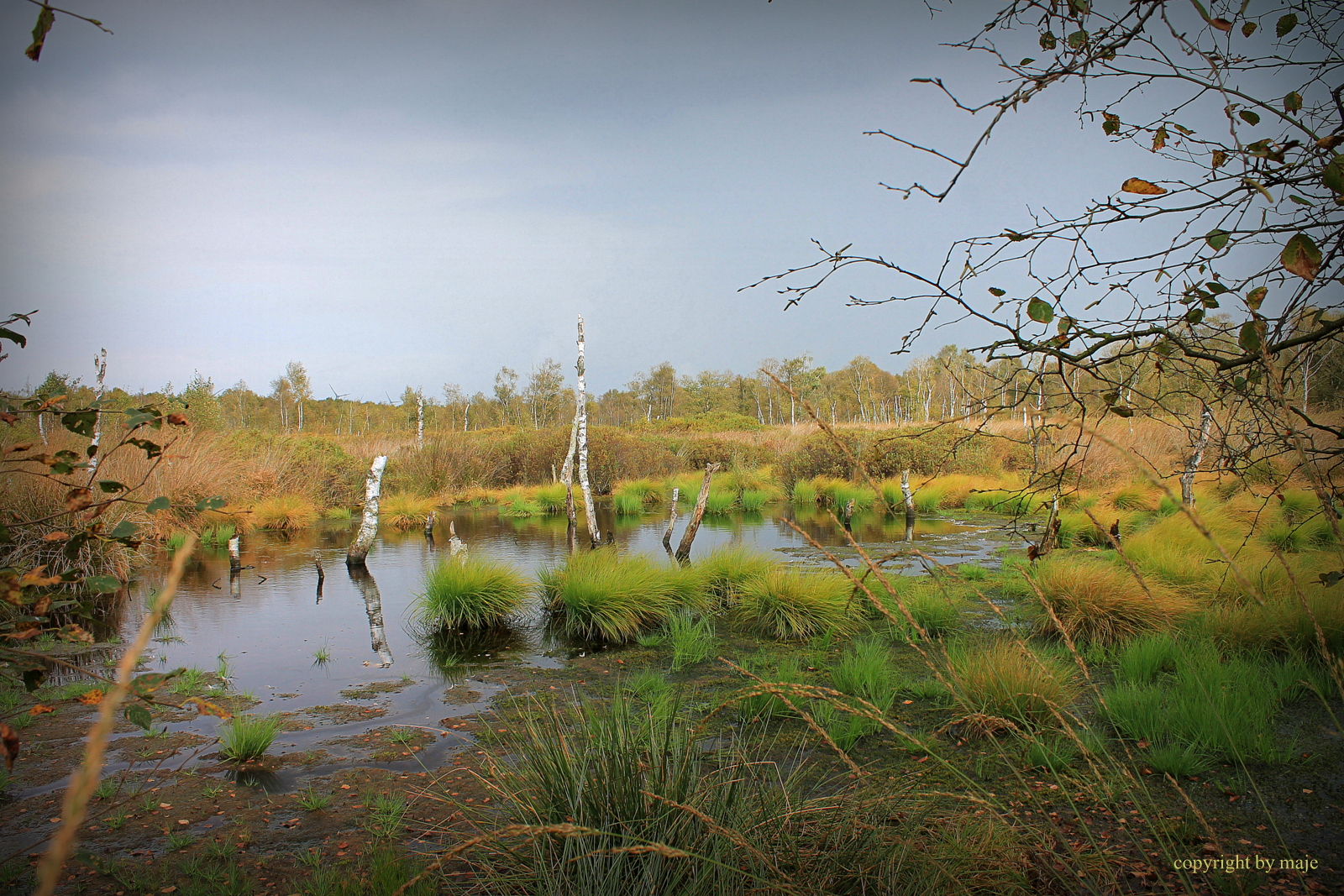 Herbstanfang 2014