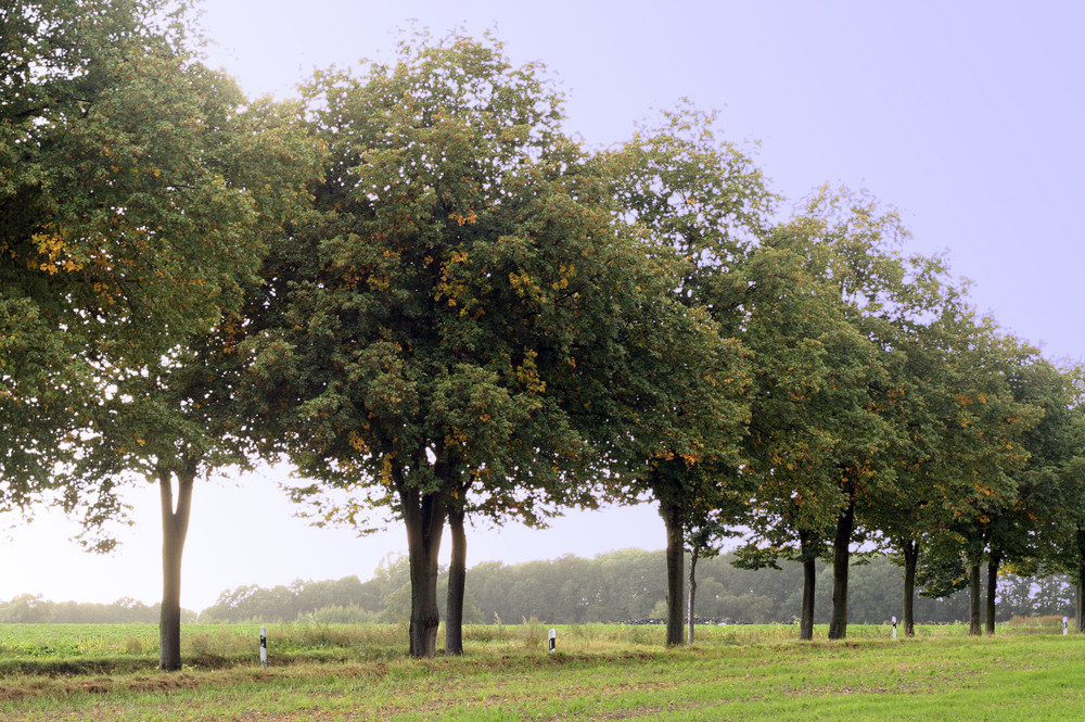 Herbstanfang