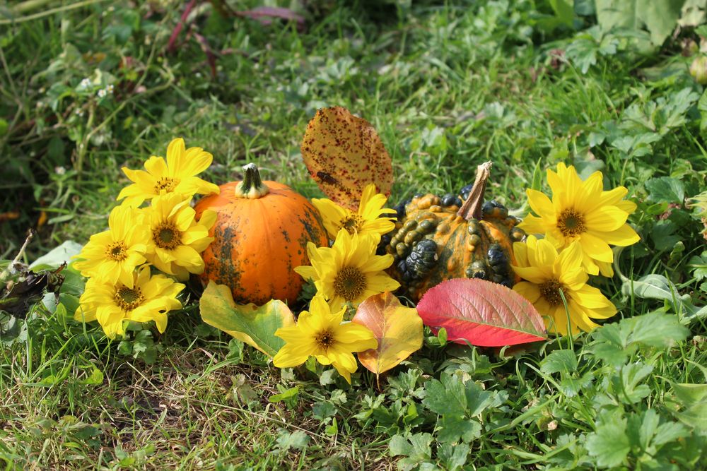 Herbstanfang Foto & Bild dies und das, herbst, stillleben Bilder auf