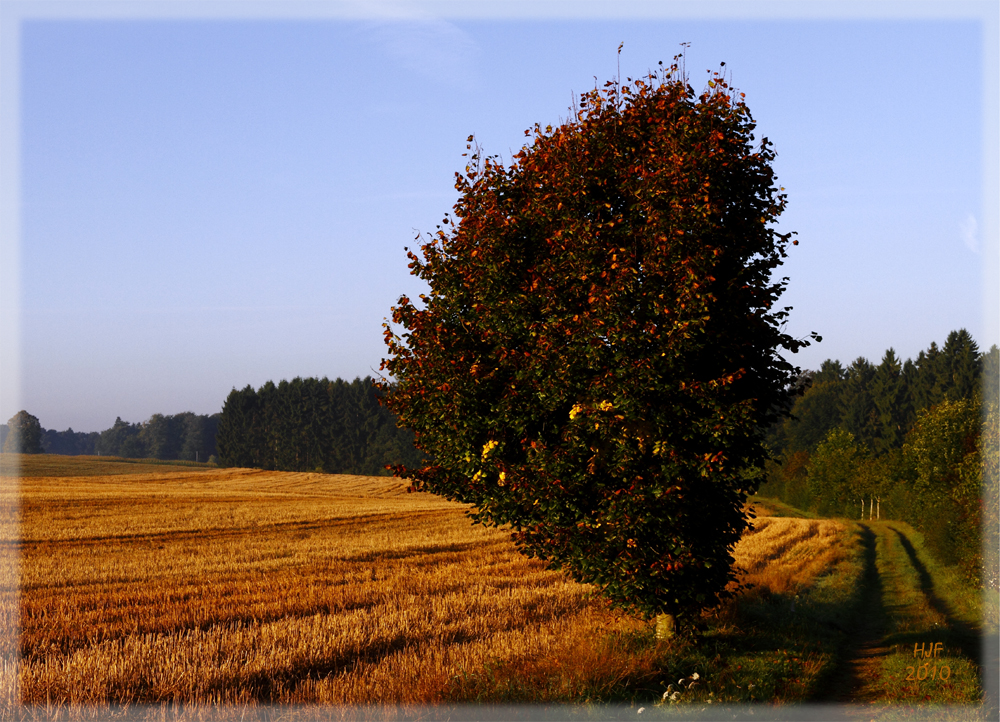 Herbstanfang