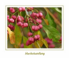 Herbstanfang