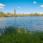 “Herbstanfang am Gübsensee: Wenn die Natur ihr buntes Kleid anzieht”