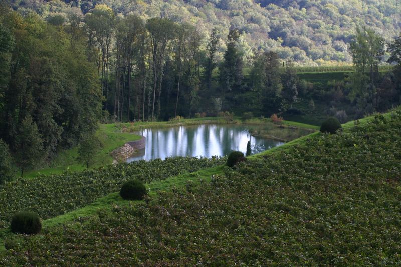 Herbstanfang am Kaiserstuhl