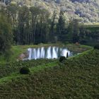 Herbstanfang am Kaiserstuhl