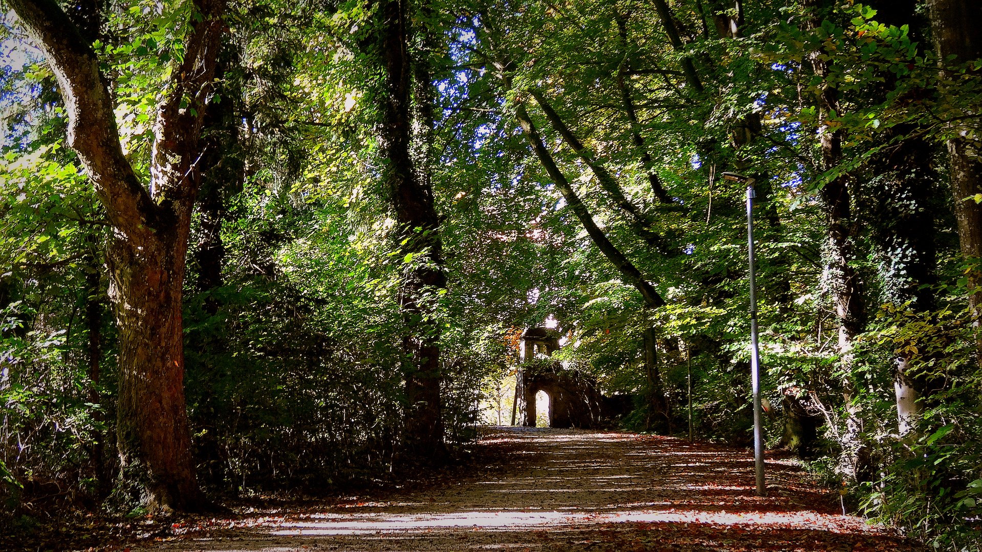 herbstanfang am laupheimer schlosspark