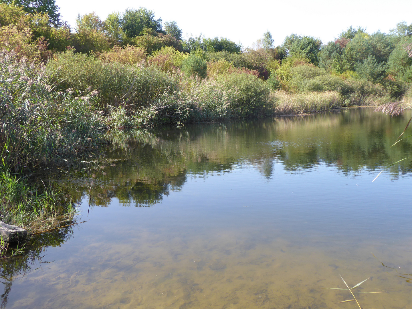 Herbstanfang am Teich