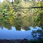 Herbstanfang am Weiher