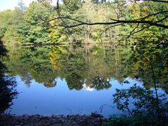 Herbstanfang am Weiher