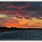 Herbstanfang auf dem Zingst