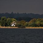 Herbstanfang auf der Insel Rügen