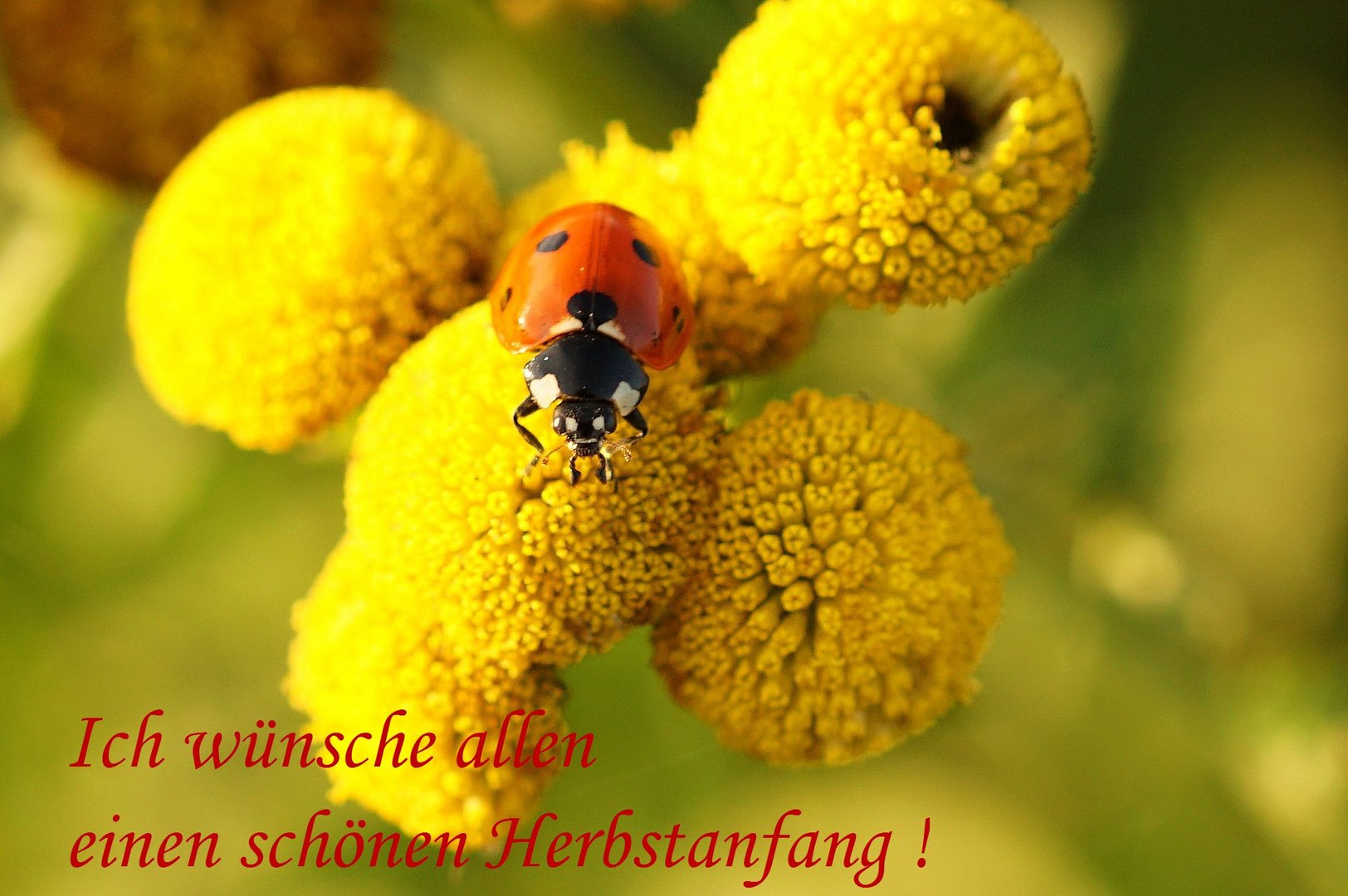 Herbstanfang.....