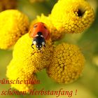 Herbstanfang.....