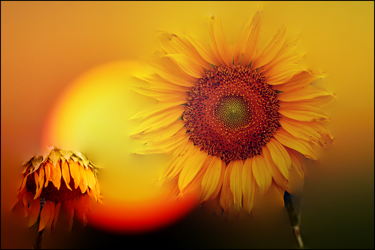 herbstanfang... Foto & Bild sonne, himmel, composing Bilder auf