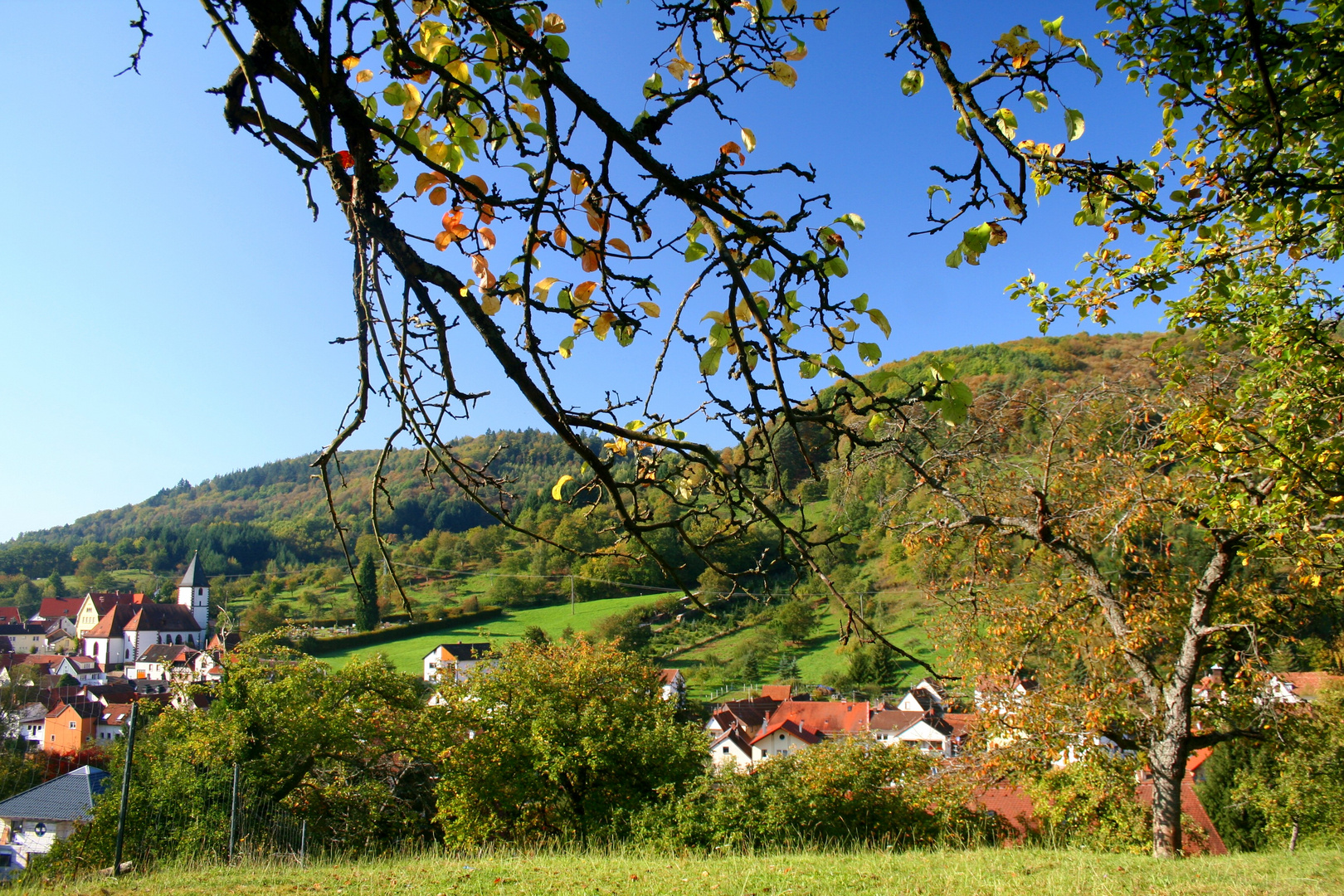 Herbstanfang im Dernbacher Tal