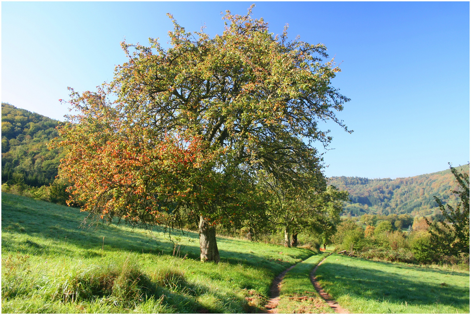 Herbstanfang im Dernbacher Tal No. 2
