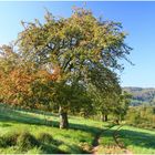 Herbstanfang im Dernbacher Tal No. 2