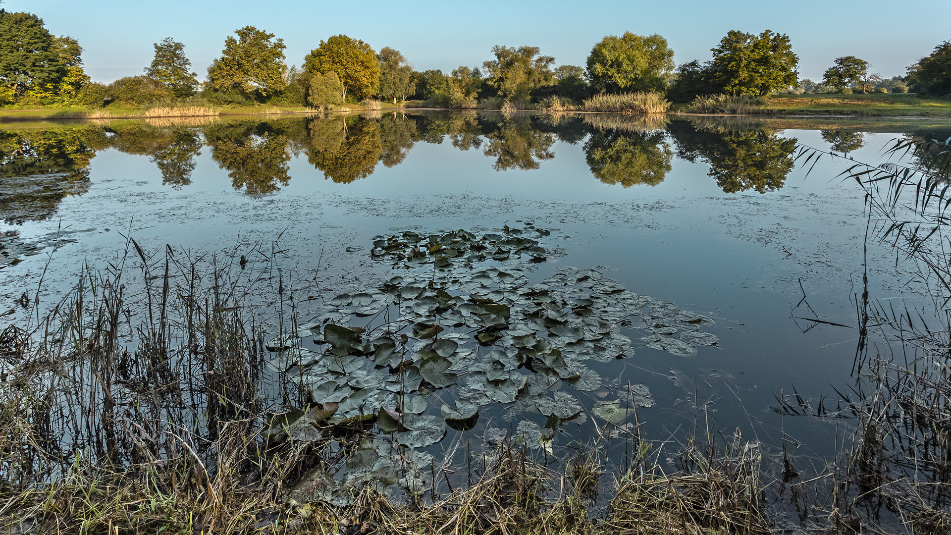 Herbstanfang im Hessischen Ried