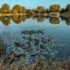 Herbstanfang im Hessischen Ried