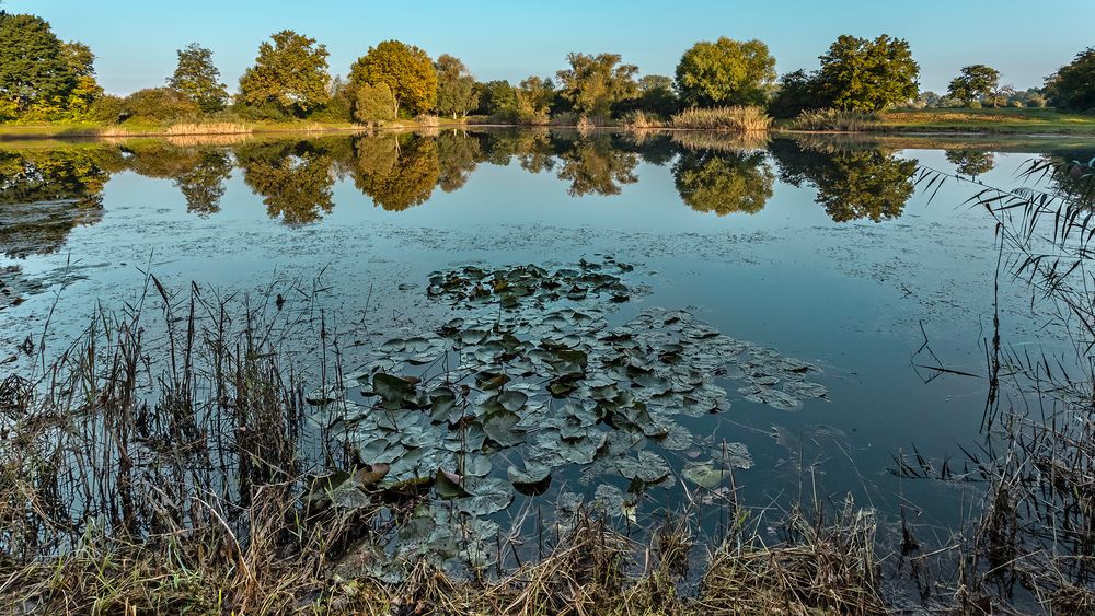 Herbstanfang im Hessischen Ried