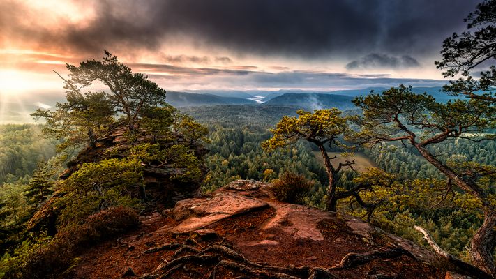 Herbstanfang im Pfälzerwald II