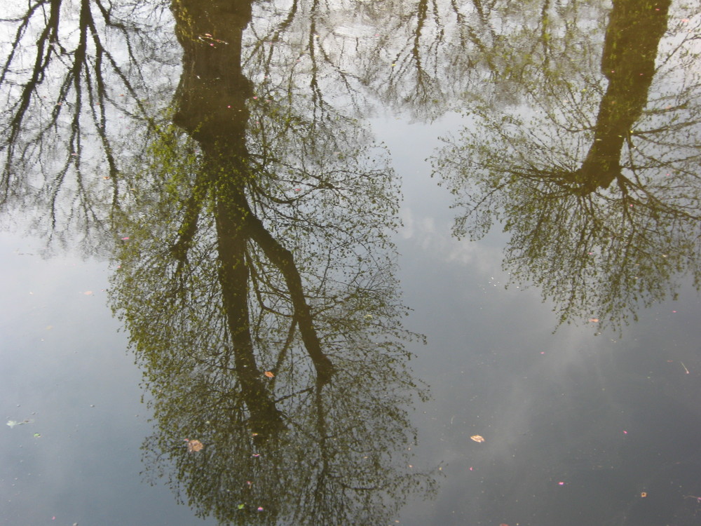 Herbstanfang im Schloßpark