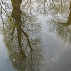 Herbstanfang im Schloßpark