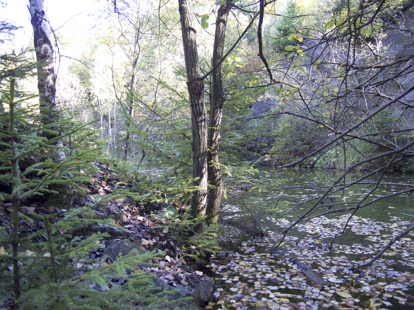 Herbstanfang in den hessischen Mittelgebirgen 3