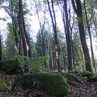 Herbstanfang in den hessischen Mittelgebirgen 4