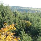 Herbstanfang in den hessischen Mittelgebirgen 5