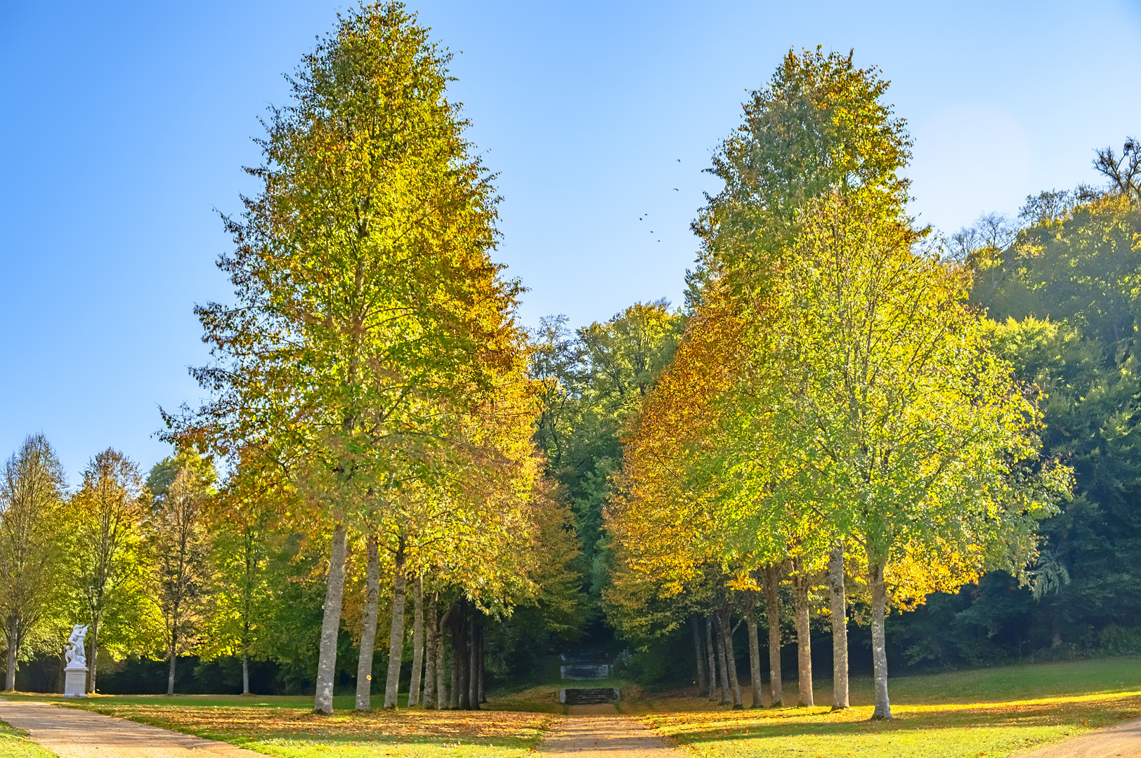 Herbstanfang in der Bourgogne