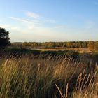 Herbstanfang in der Wahnerheide