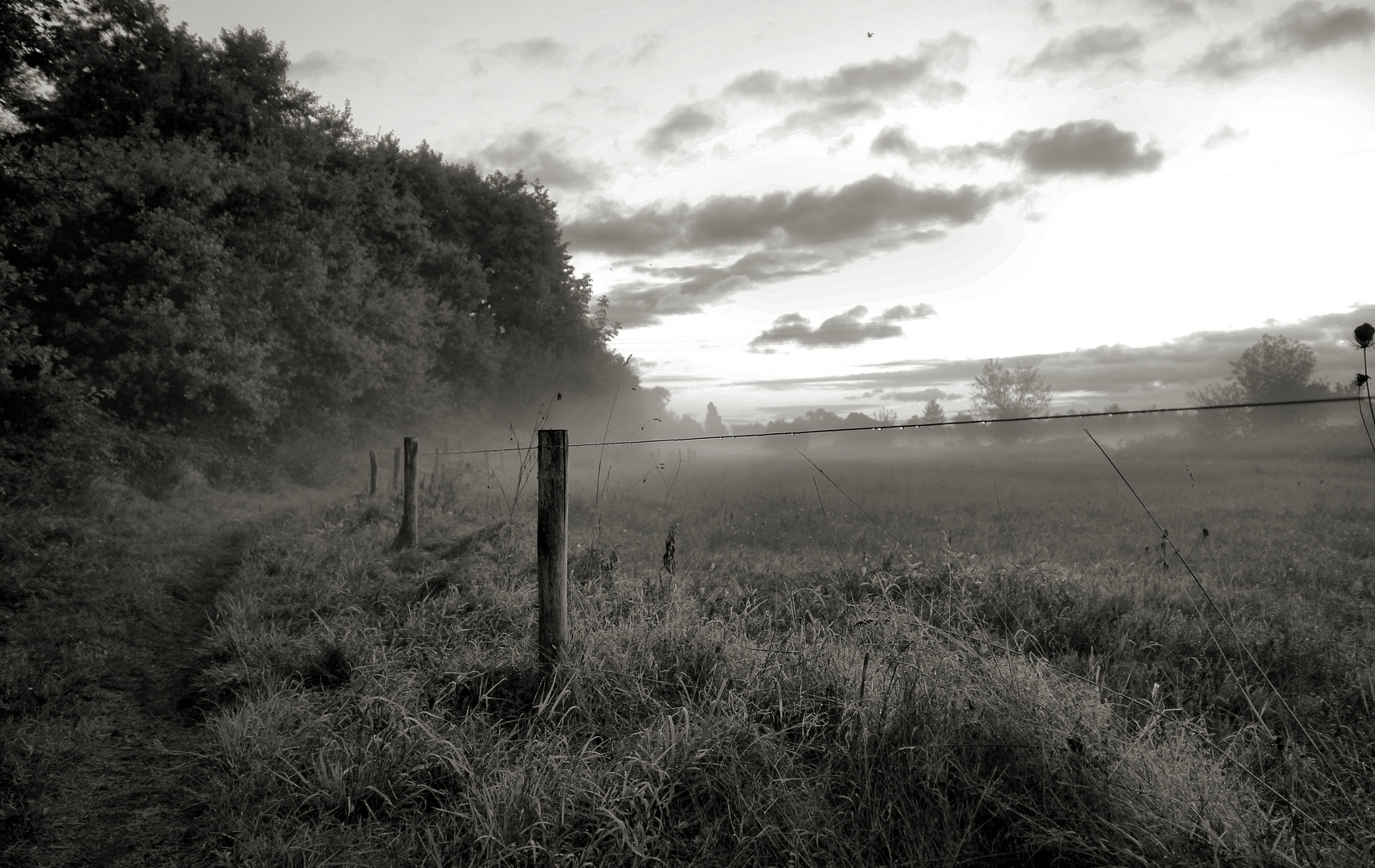 Herbstanfang in monochrome