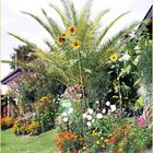 Herbstanfang mit Sonnenblumen in Palme