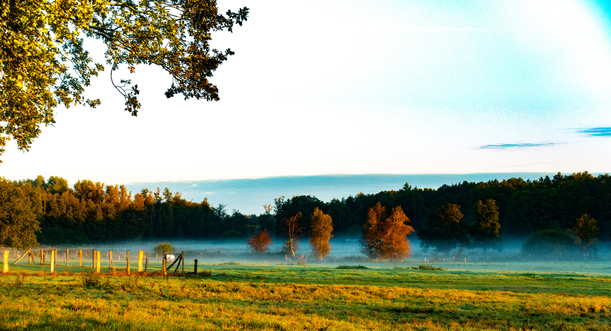 Herbstanfang  / Morgennebel 