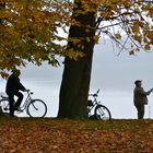 Herbstangler