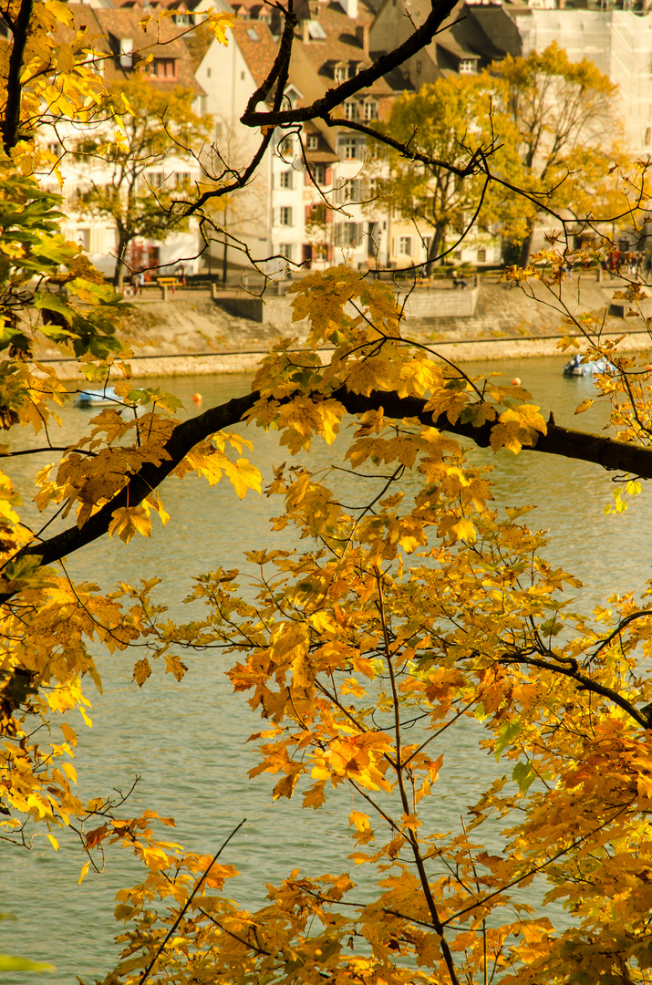 Herbstansicht Basel