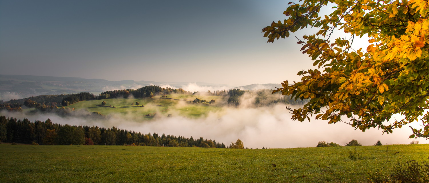 Herbstansicht