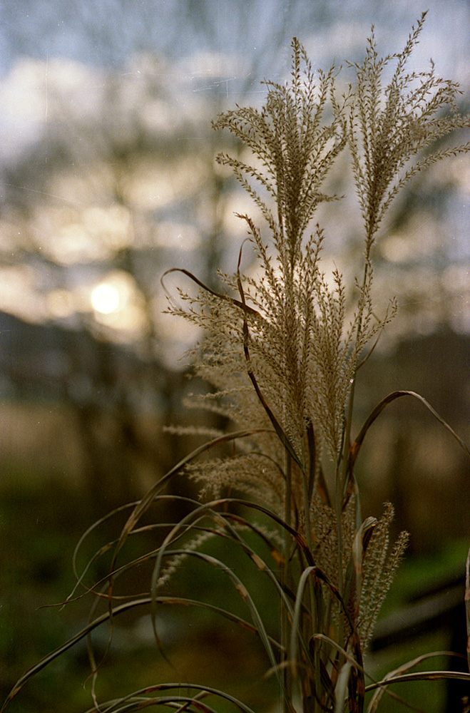 Herbstansicht