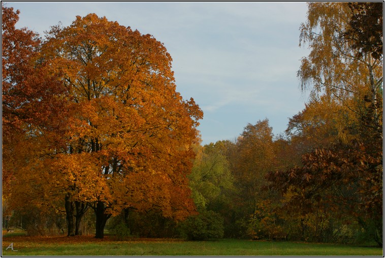 HerbstAnsichten