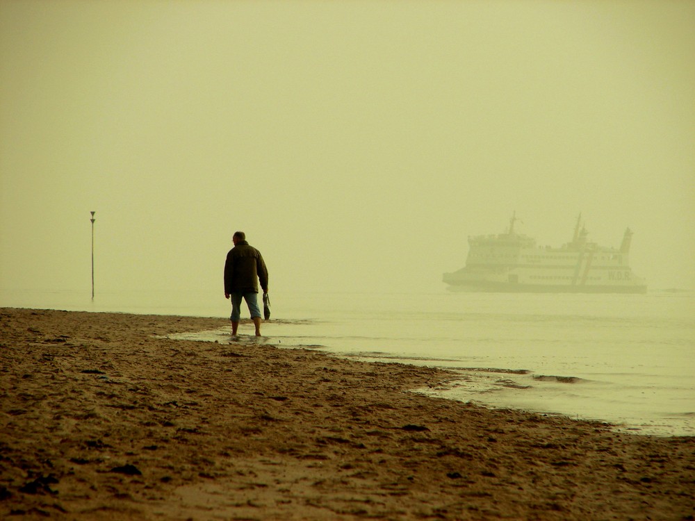 Herbstansichten VI - wyk - Föhr - 2008