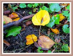 Herbstarrangement (mit Gedicht)