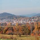 Herbstausblick ...