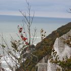 Herbstausblick